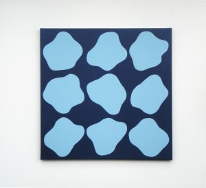 Monika Gojer, communication pool 2017